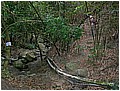 2008-3-30 下午 03-59-09-去回叉路口.jpg